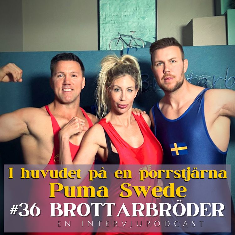 cover art for #36 I huvudet på en porrstjärna - Puma Swede