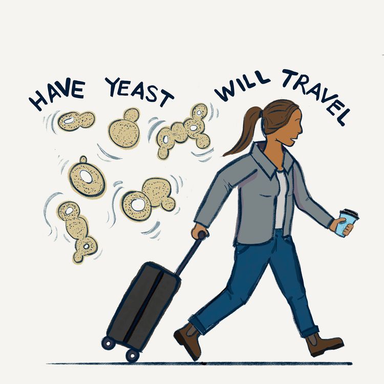 cover art for #25: A California Coffee Farm & Native vs. Local Yeasts