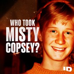 cover art for Who Took Misty Copsey?