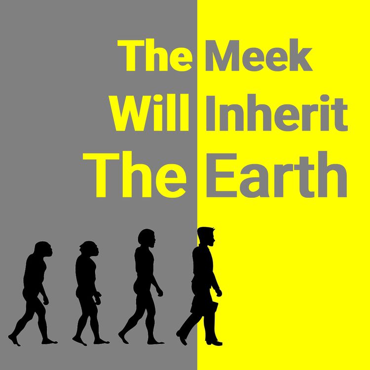 cover art for #2 The Light of the World