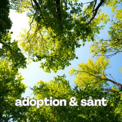 cover art for Adoption & sånt