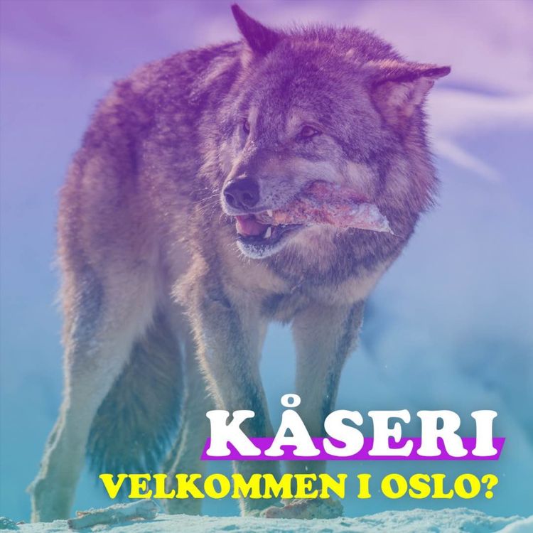 cover art for Episode 26: Flytt ulven til Oslo