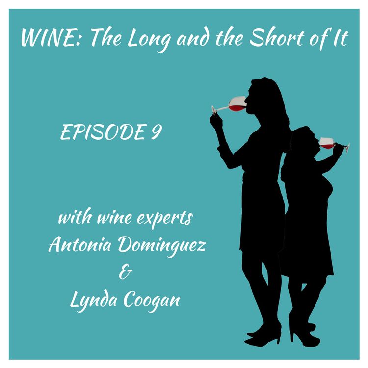 cover art for Episode 9 - Our favourite wine regions