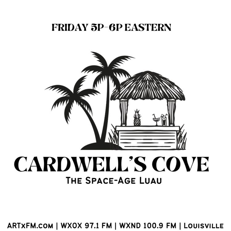 cover art for Surfer Freak!