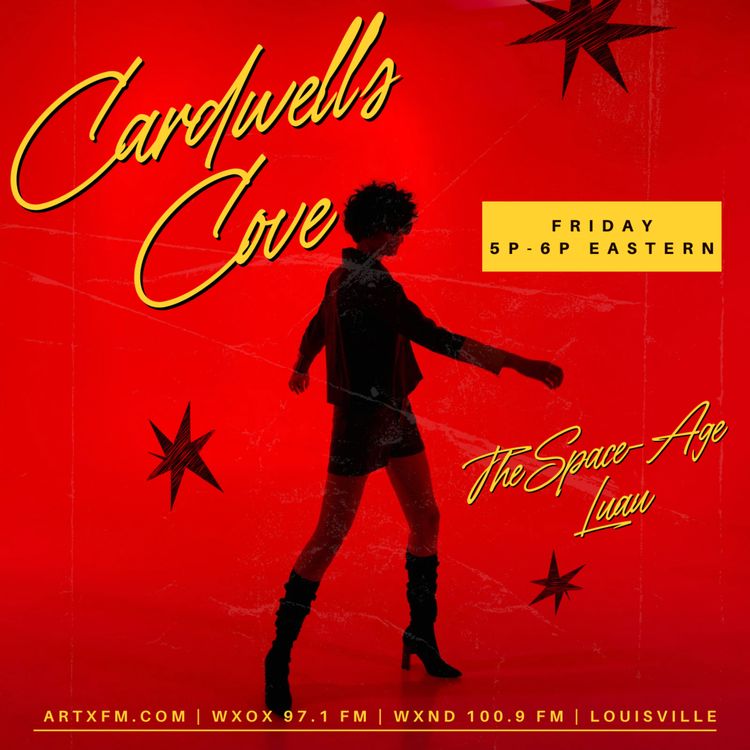 cover art for Sunshine Superman!