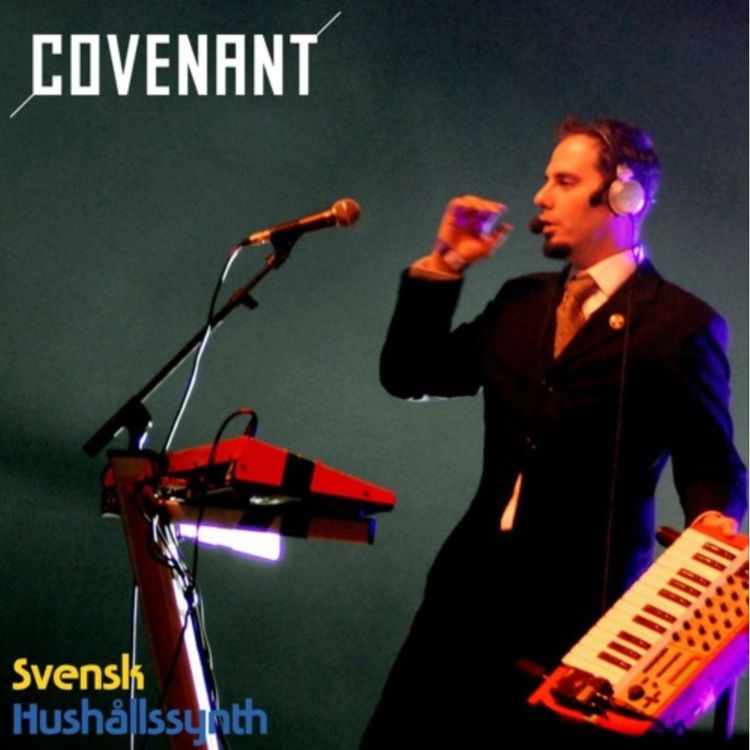 cover art for #10 Joakim, Covenant