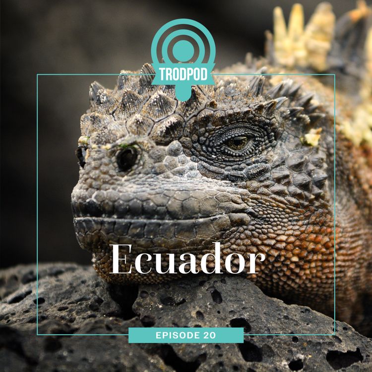 cover art for TrodPod: Ecuador