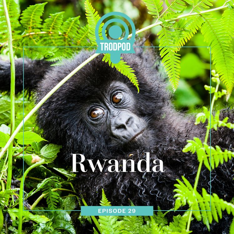 cover art for TrodPod: Rwanda