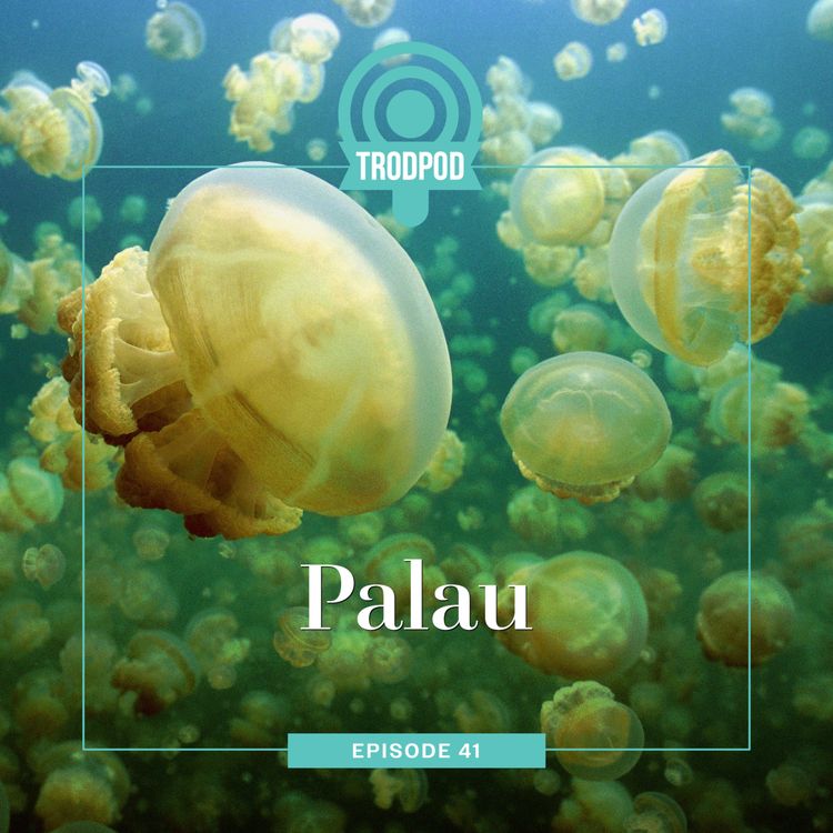 cover art for TrodPod: Palau