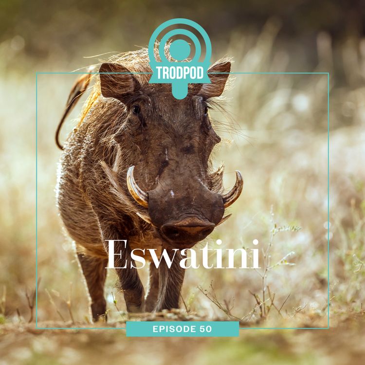 cover art for TrodPod: Eswatini