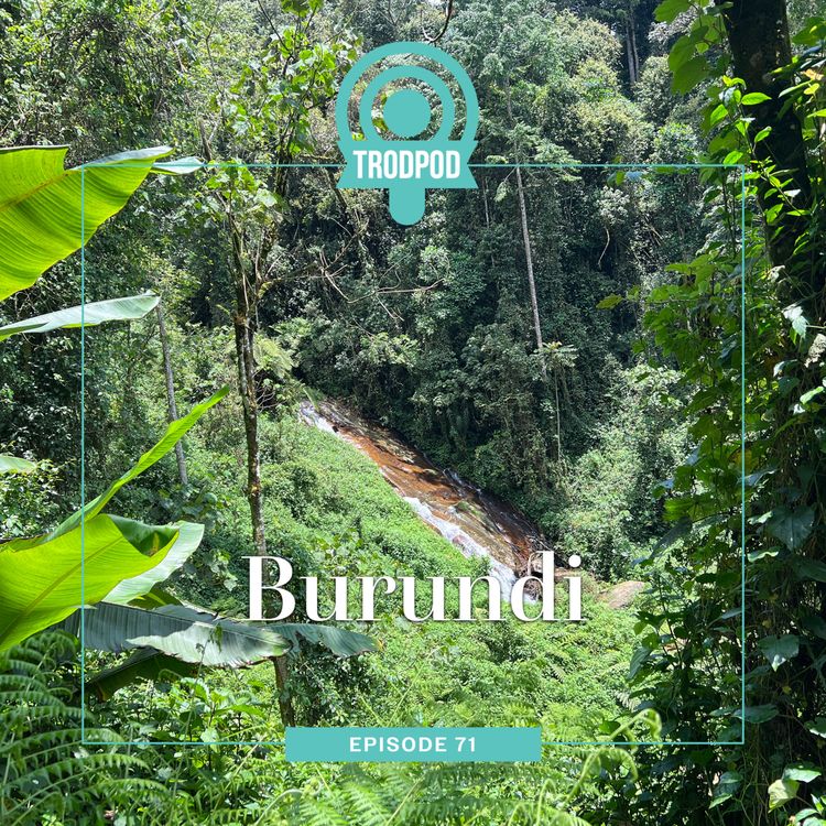 cover art for TrodPod: Burundi