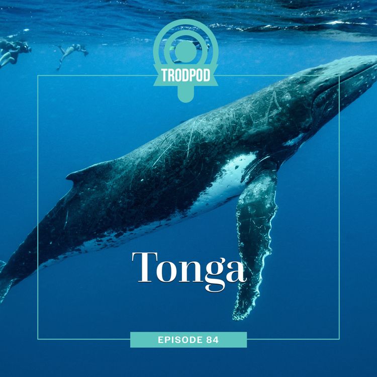 cover art for TrodPod: Tonga