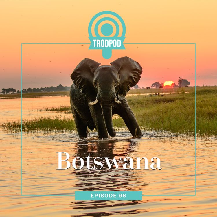 cover art for TrodPod: Botswana