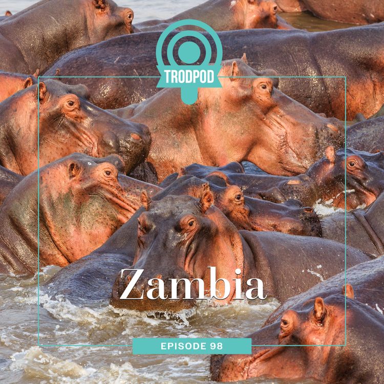cover art for TrodPod: Zambia