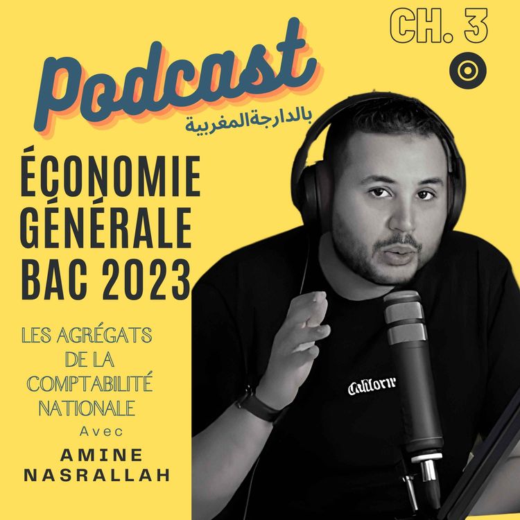 cover art for Ch 3: les agrégats : PIB optique revenu et dépense 