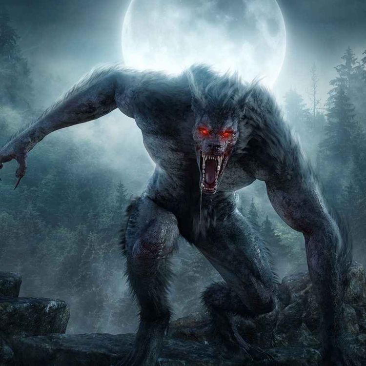 cover art for 12 TRUE SCARY PARK RANGER HORROR STORIES