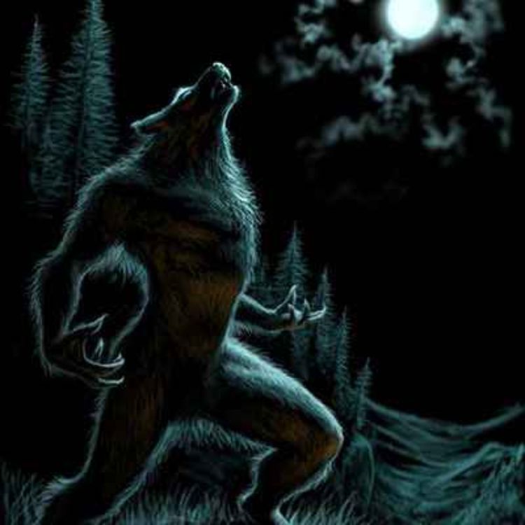 cover art for 9 TRUE SCARY PARK RANGER HORROR STORIES