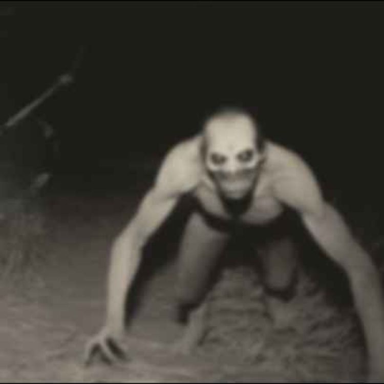 cover art for 12 TRUE SCARY PARK RANGER HORROR STORIES