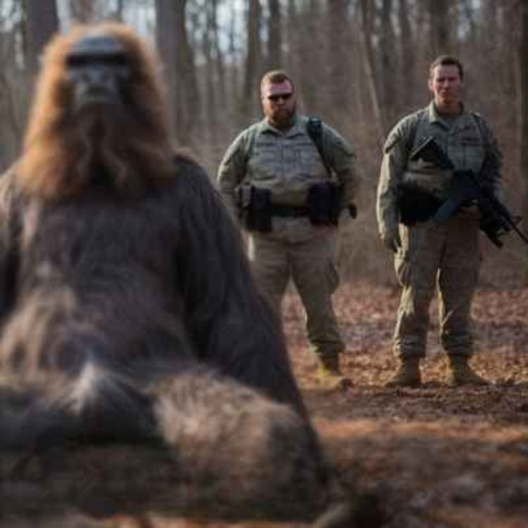cover art for 12 TRUE SCARY NAVY SEAL AND SPECIAL FORCES HORROR STORIES
