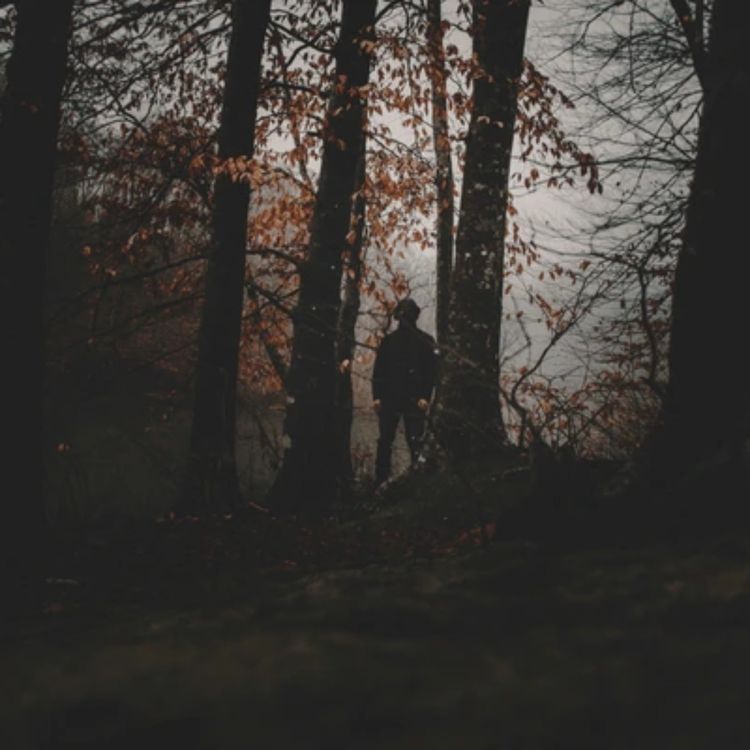 cover art for 11 TRUE SCARY PARK RANGER HORROR STORIES