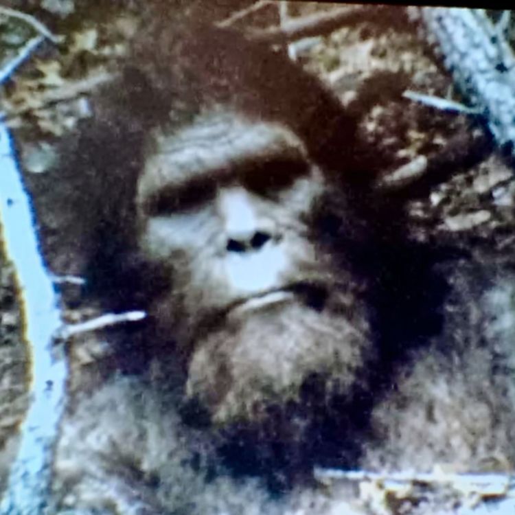 cover art for I'm a Navy SEAL Who Hunts DOGMAN. There Is A NEST Of Cryptids in Badlands National Park, South Dakota.