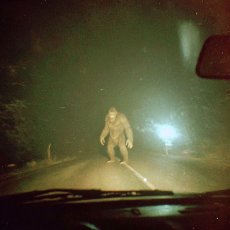 cover art for I'm a Navy SEAL Who Hunts DOGMAN...