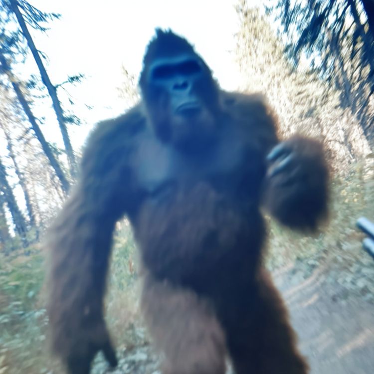 cover art for U.S Government Hired Us To Kill These Creatures. What We Found in Alaska Shouldn’t Exist