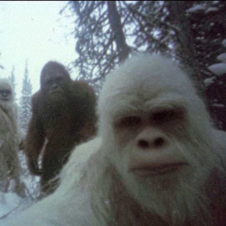 cover art for I Was a Park Ranger in Alaska. This is What Killed Those Campers Back in 1998.