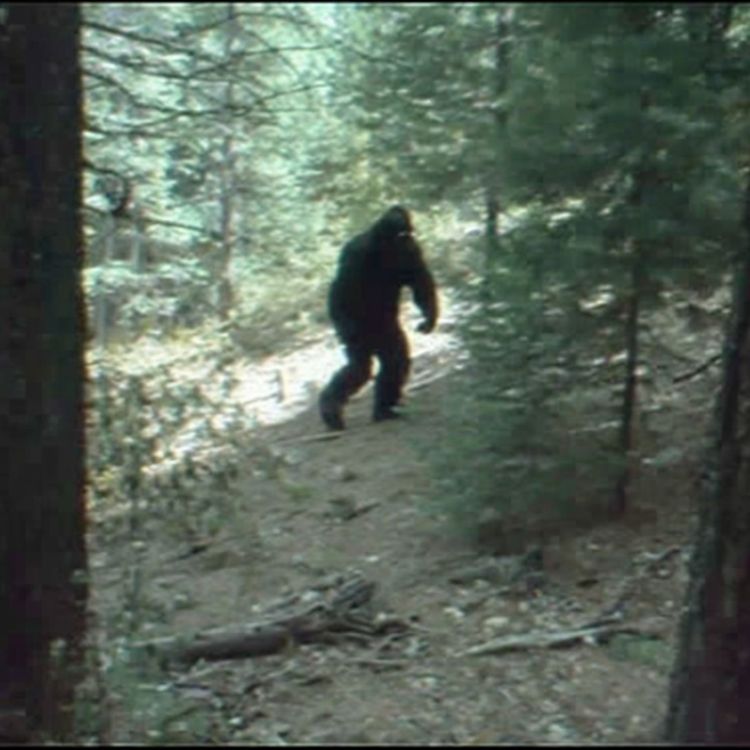 cover art for I’m a Cryptid HITMAN, What I’ve Found in Alaska in 2001 Shouldn’t Exist.