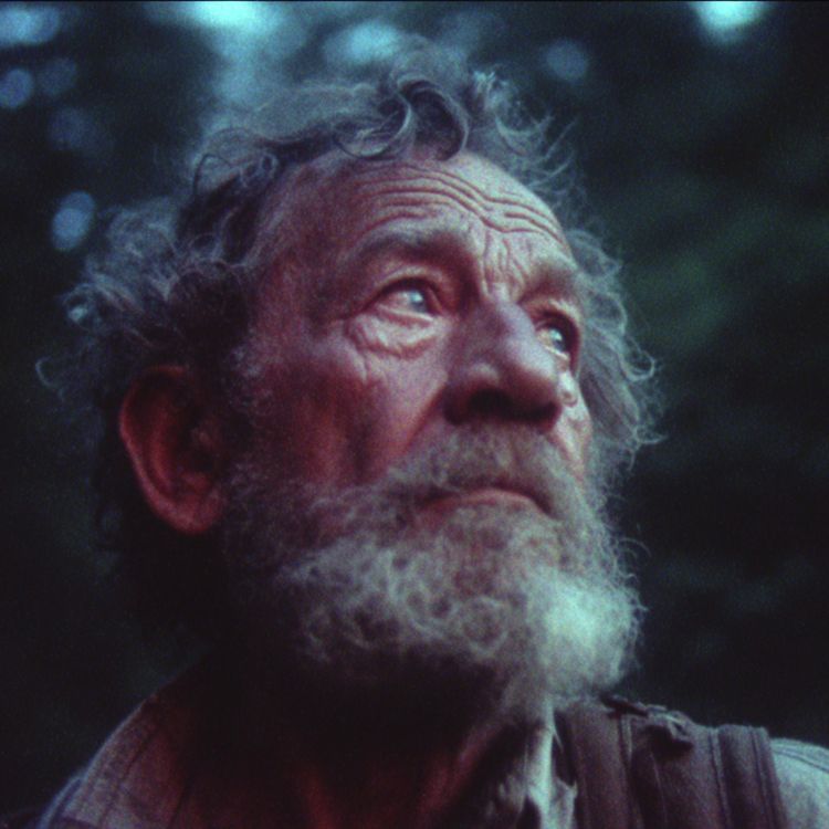 cover art for I'm a Navy SEAL Who Hunts DOGMAN. I Found Out Why They Are Really Here