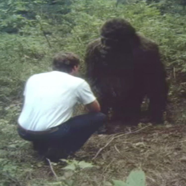 cover art for SOMETHING Is Going On in ALASKA...