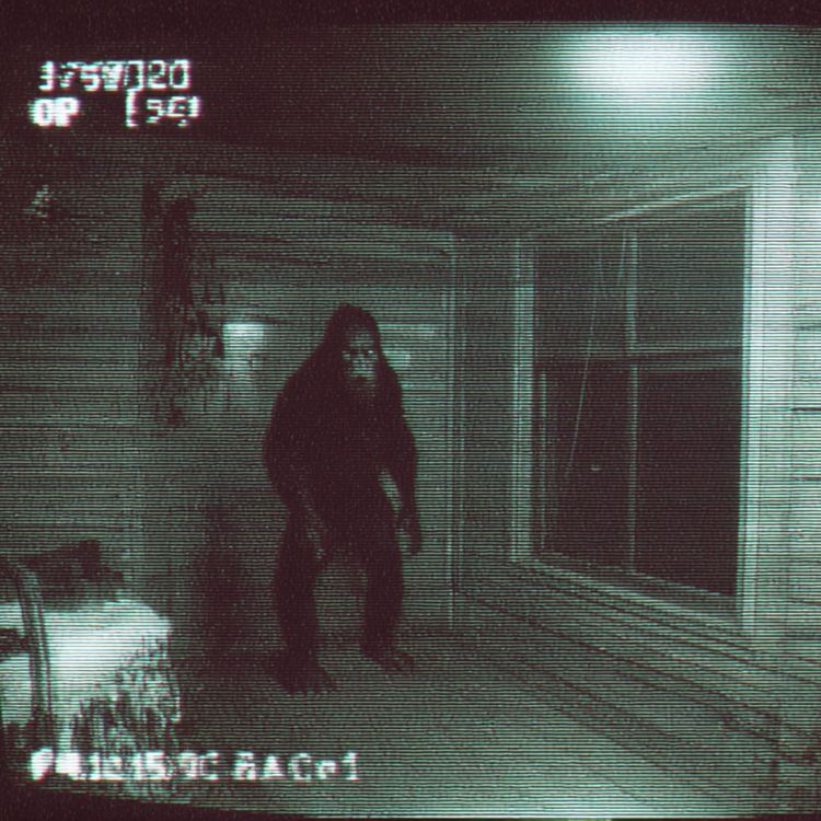 cover art for U.S. Navy SEALS SPILLS the BEANS about CREATURES They KILLED In APPALACHIAN Mountains