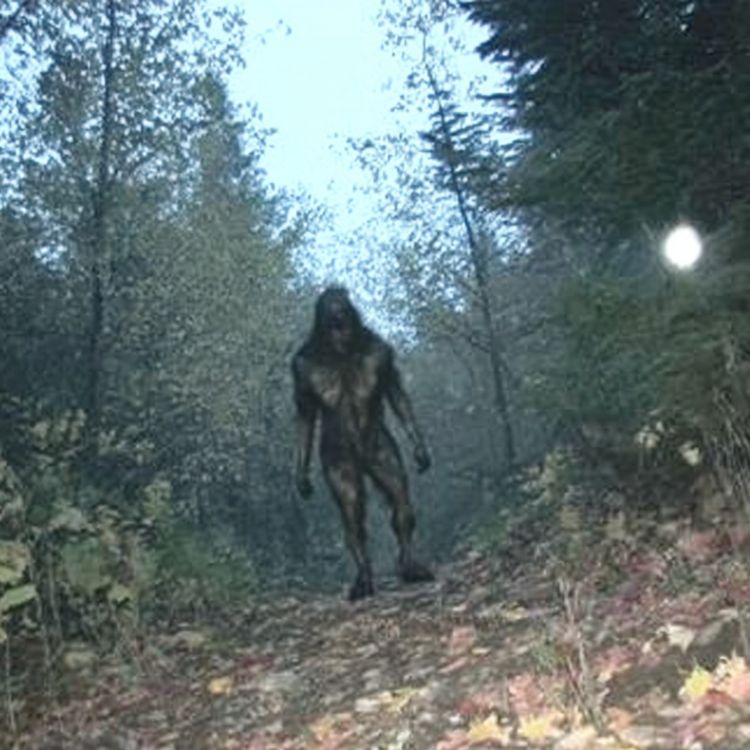 cover art for These CREATURES Have Infested Our National Forests and Parks