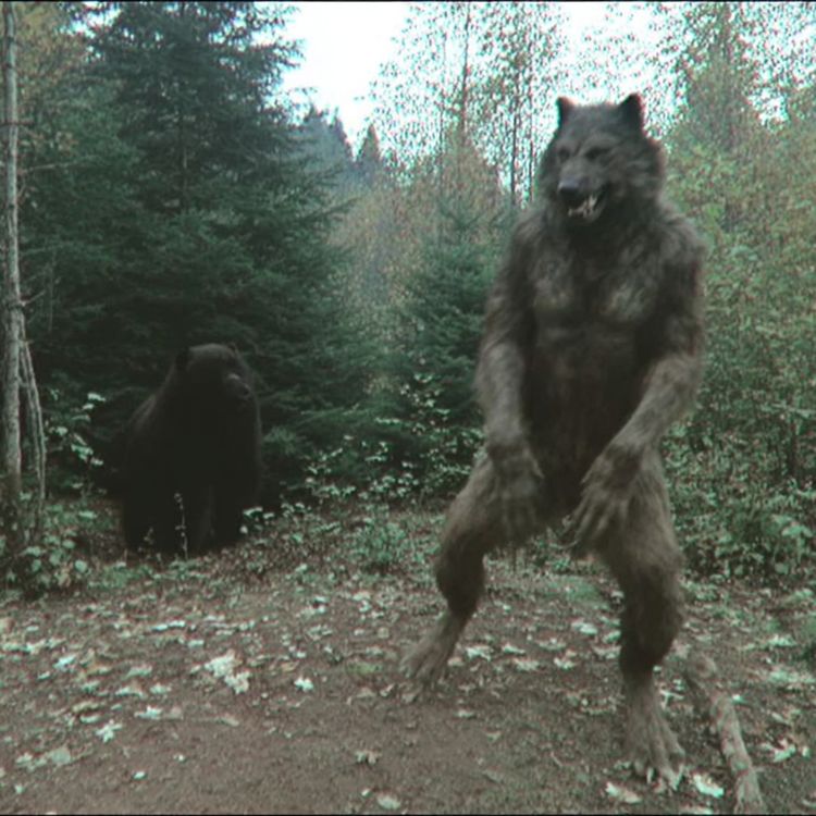 cover art for Navy SEALS FINALLY REVEAL What They KILLED In NORTH CAROLINA