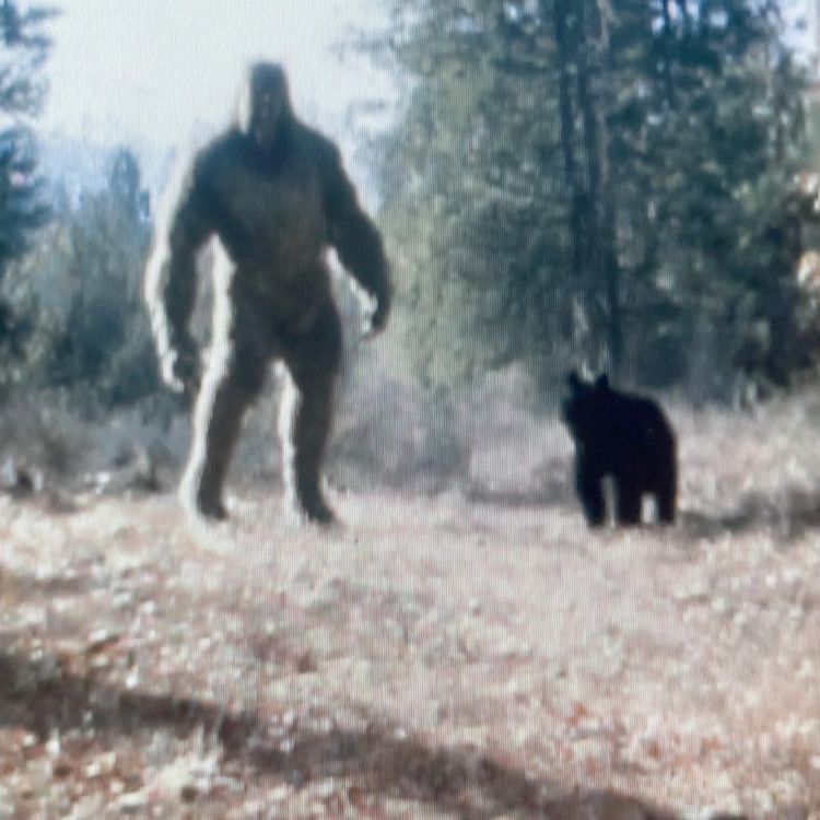 cover art for They Walked In Like Ghosts - When Navy SEALS Made U.S Gov't Question Everything