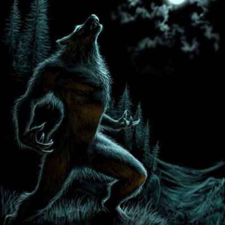 cover art for 14 TRUE SCARY CRYPTID SIGHTING HORROR STORIES