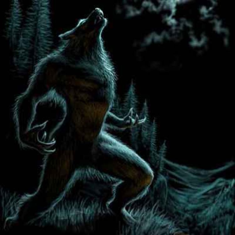 cover art for 11 TRUE SCARY PARK RANGER HORROR STORIES