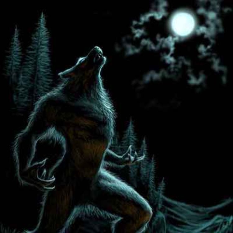 cover art for 11 TRUE SCARY PARK RANGER HORROR STORIES