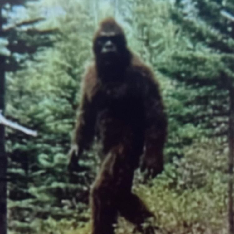 cover art for 2 TRUE SCARY PARK RANGER HORROR STORIES