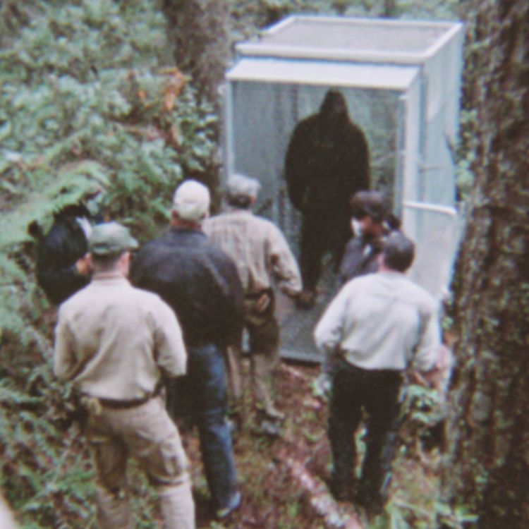 cover art for U.S. Navy SEALS SPILLS the BEANS about CREATURES They KILLED In North Carolina Mountains