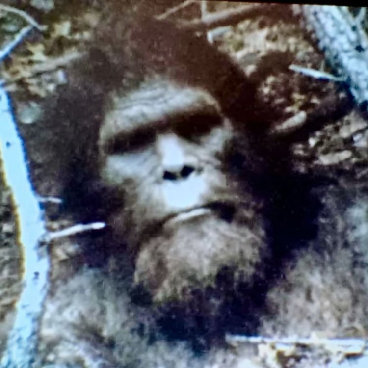 cover art for Park Ranger WARNS Of NEW SPECIES In BLUE RIDGE MOUNTAINS