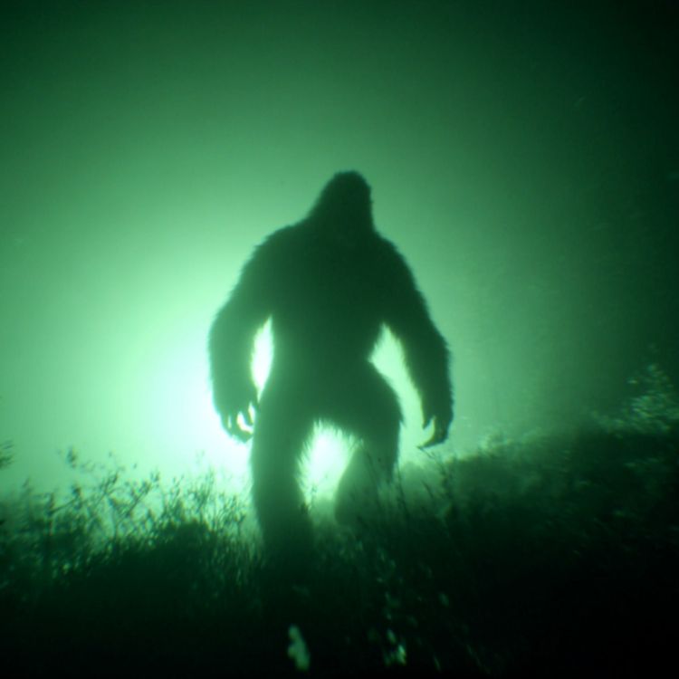 cover art for U.S Park Ranger: NEW Evidence of a CREATURE in North Carolina Mountains