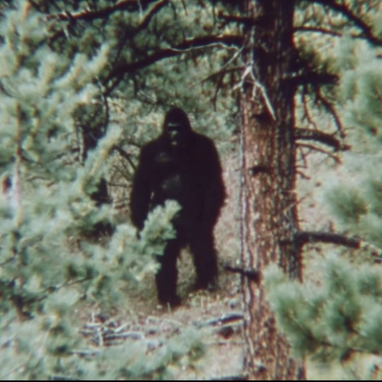 cover art for Park Ranger SPILLS THE BEANS Stay Far Away From North Carolina Mountains