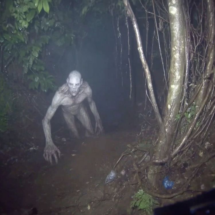 cover art for Don't Go to Appalachian Monutains. Ever.