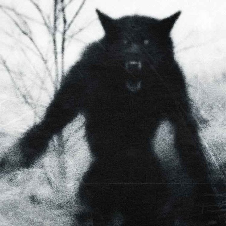 cover art for Unsolved Cold Case Mysteries Too Twisted For Netflix