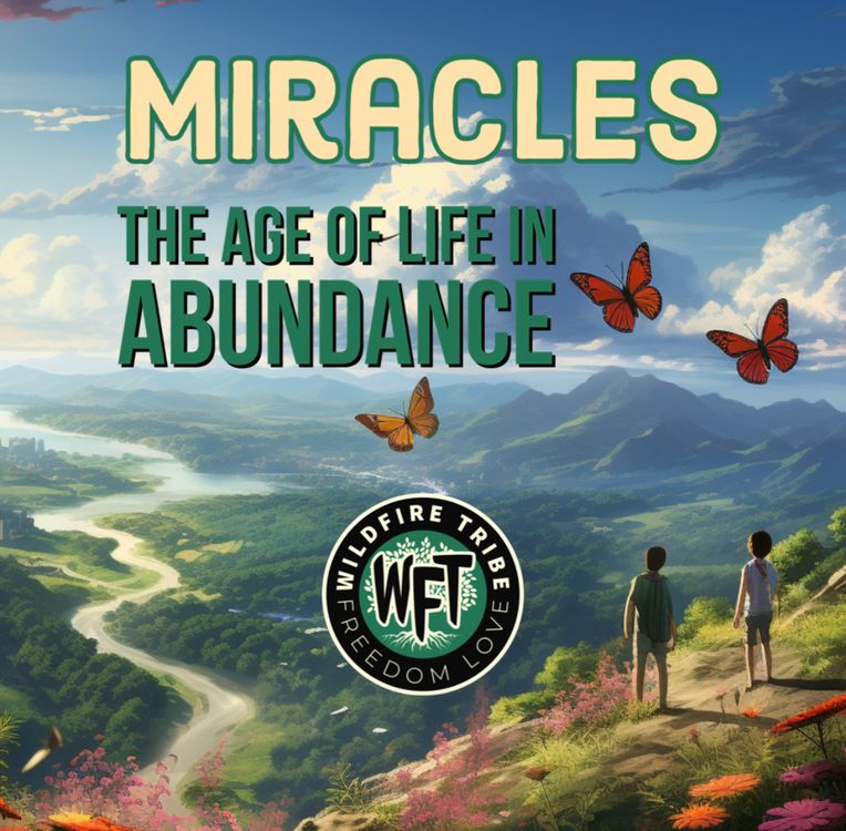cover art for Ep. 040 - Miracles and The Age of Life in Abundance