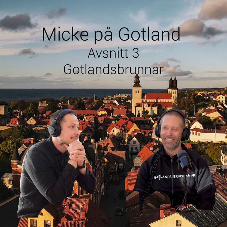 cover art for Gotlandsbrunnar