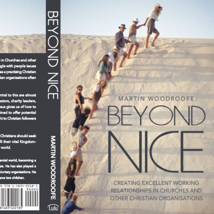 cover art for Beyond Nice