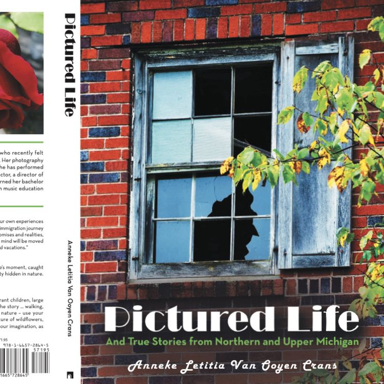 cover art for PICTURED LIFE - TRUE STORIES FROM NORTHERN AND UPPER MICHIGAN - Anneke Letitia Van Ooyen Crans
