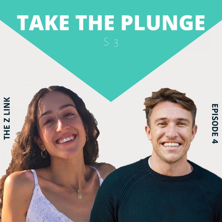 cover art for The Z link - Erifili Gounari